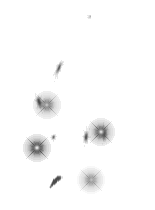 Monster Image