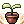 Skill Image